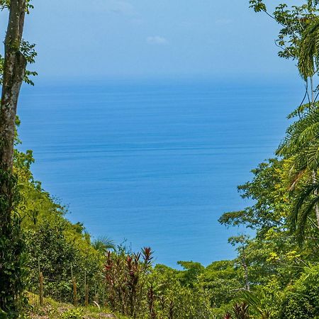 The Jungle Inn Dominicalito Εξωτερικό φωτογραφία