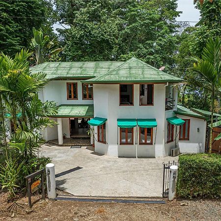 The Jungle Inn Dominicalito Εξωτερικό φωτογραφία