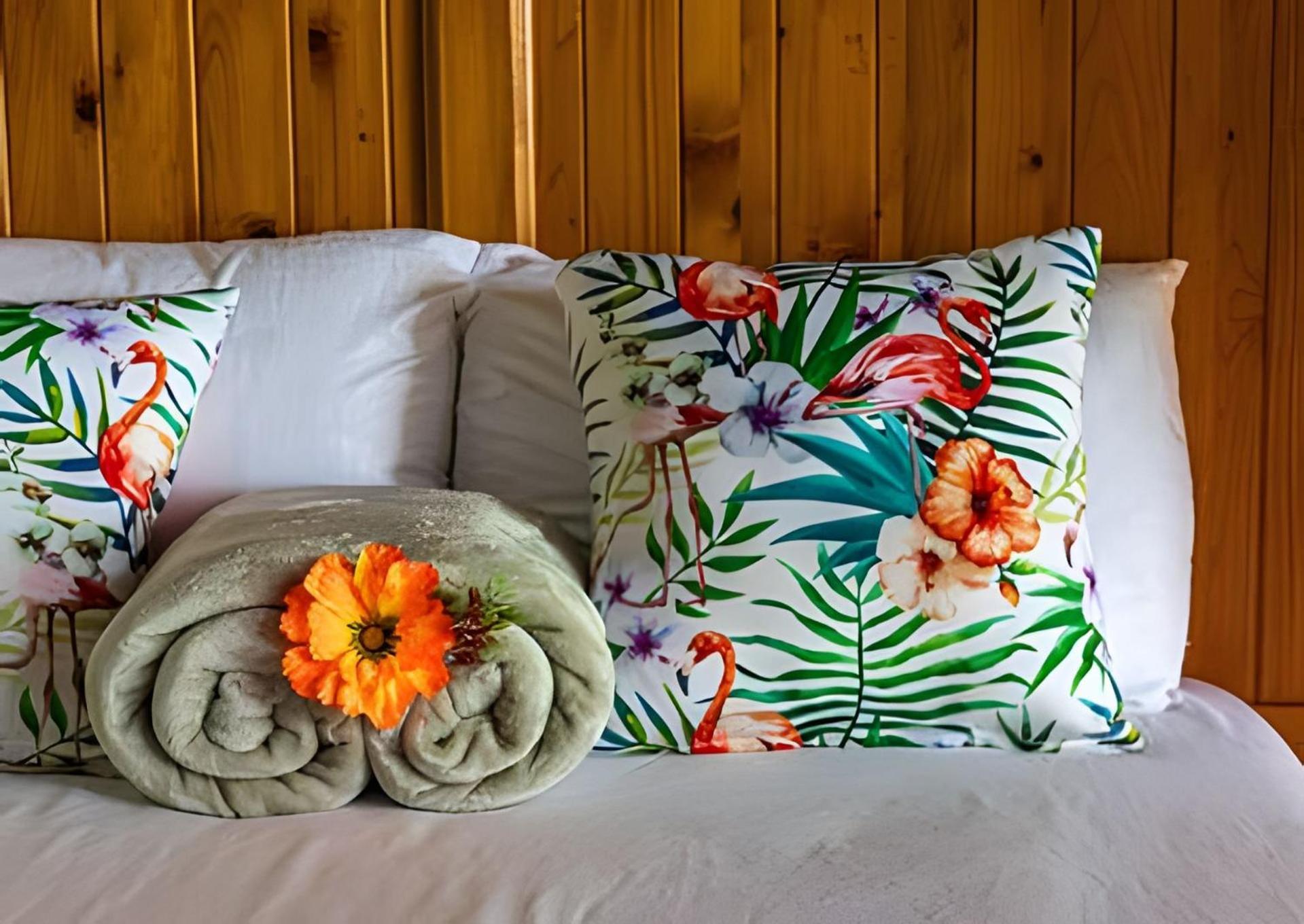 The Jungle Inn Dominicalito Εξωτερικό φωτογραφία