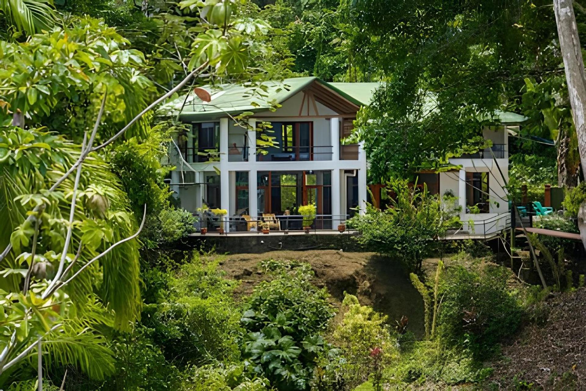 The Jungle Inn Dominicalito Εξωτερικό φωτογραφία