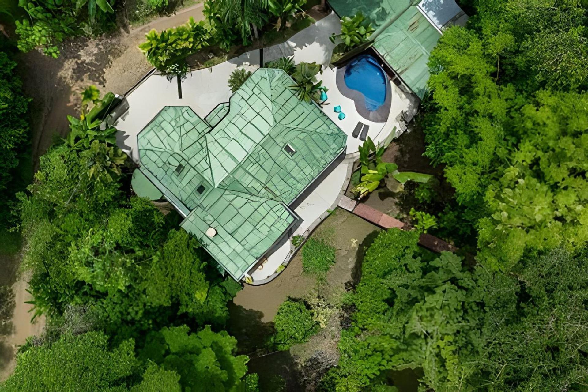 The Jungle Inn Dominicalito Εξωτερικό φωτογραφία
