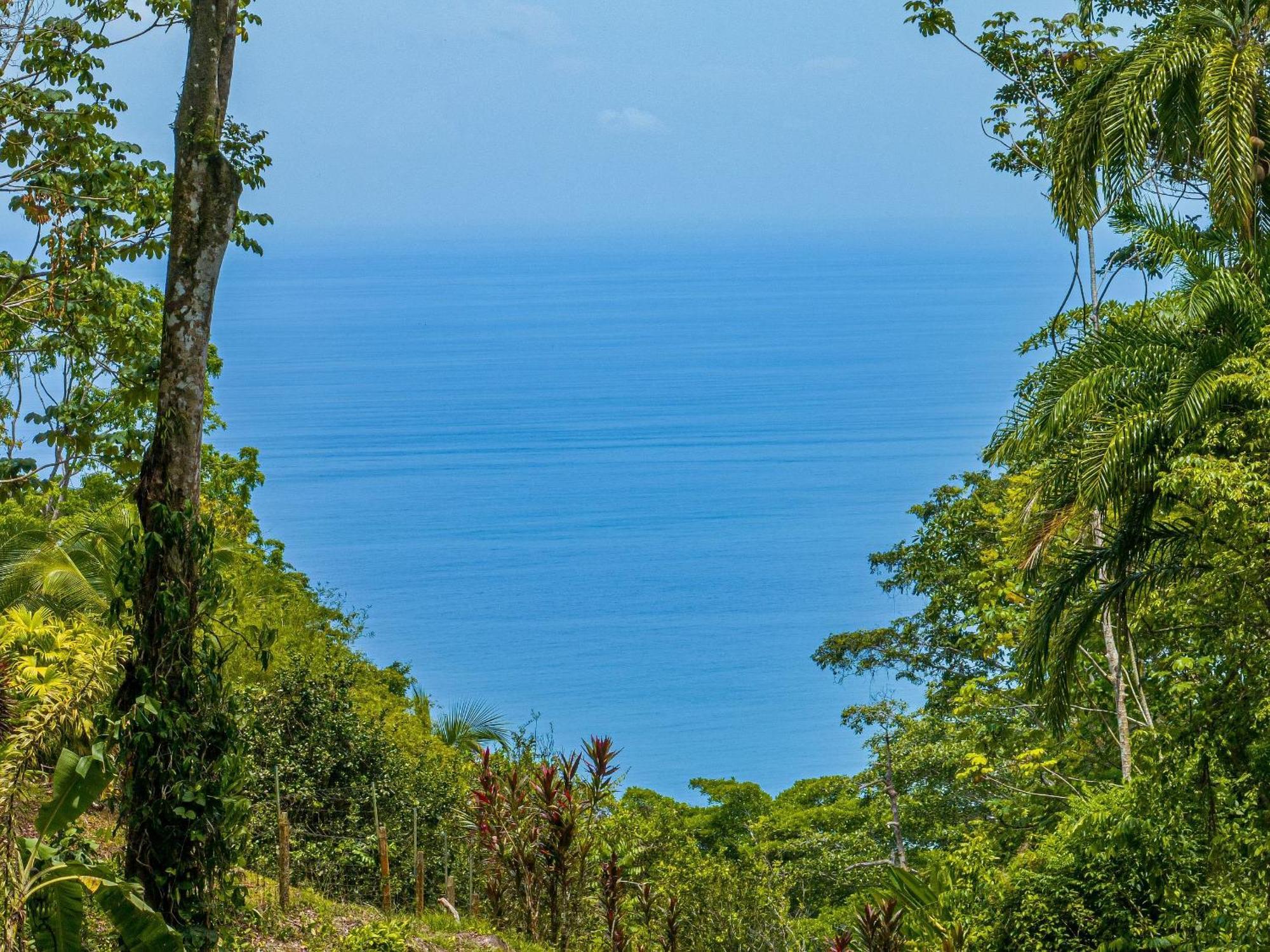 The Jungle Inn Dominicalito Εξωτερικό φωτογραφία